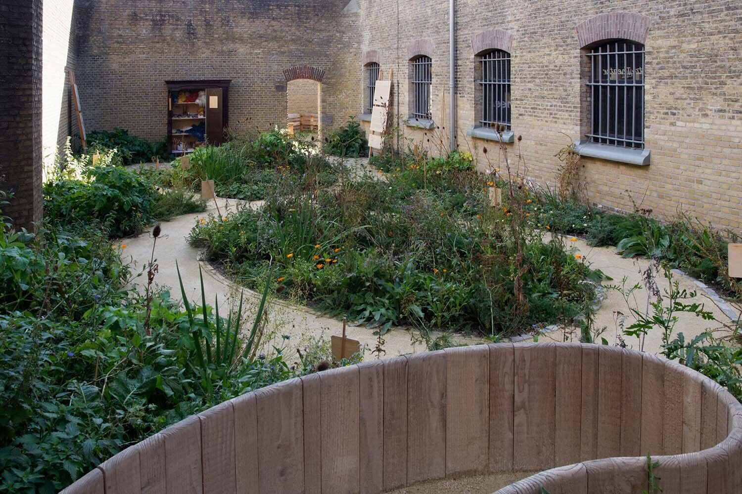 honeysuckleblues-25092018-1500