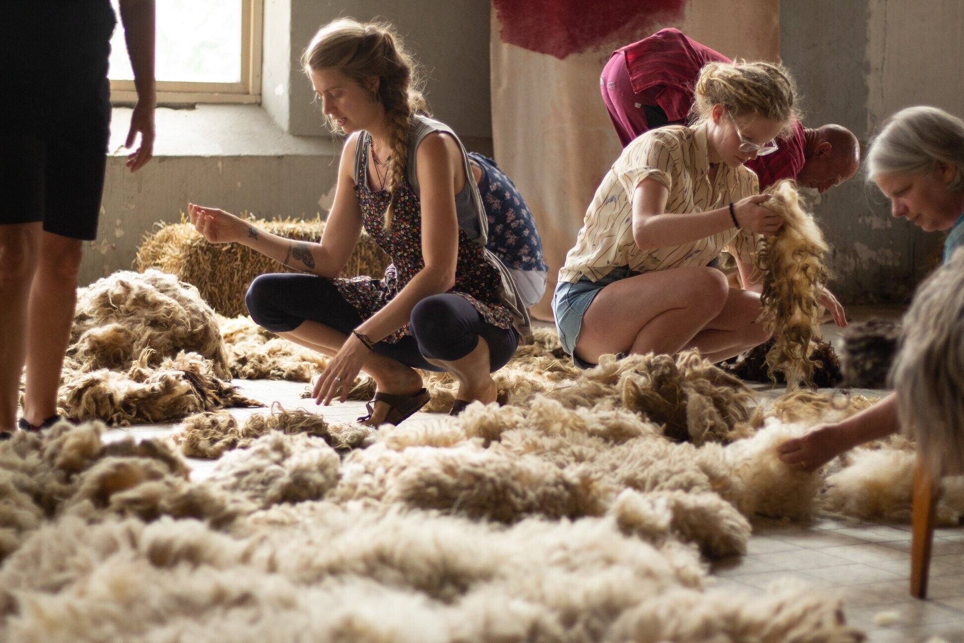 365115252039259169624135530099