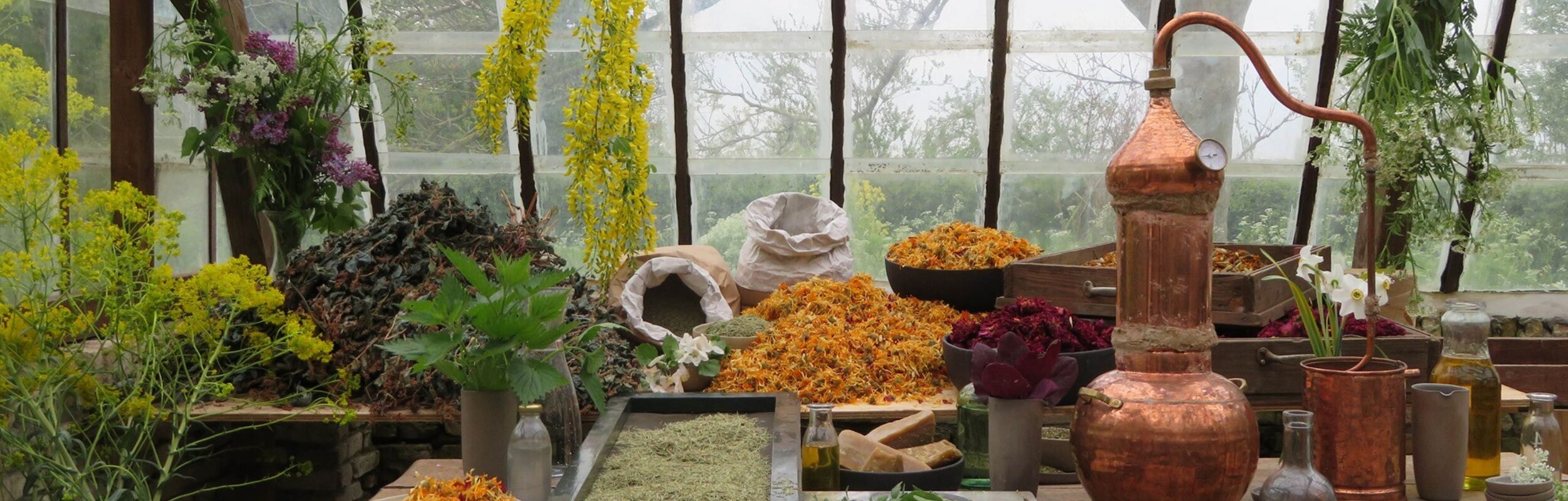 300094204411009034467781567368