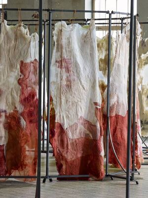 343859876306640506126594938403