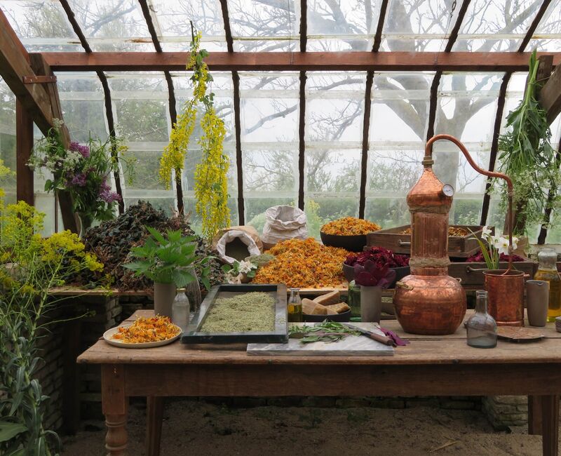 300094204411009034467781567368