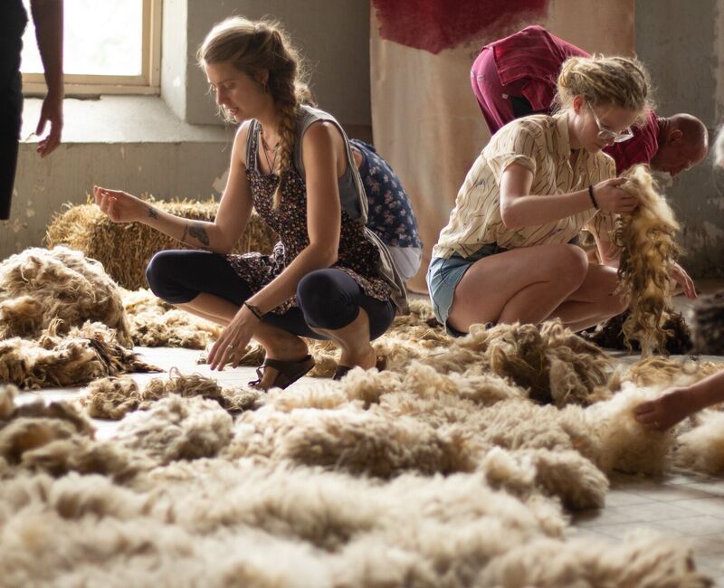 365115252039259169624135530099