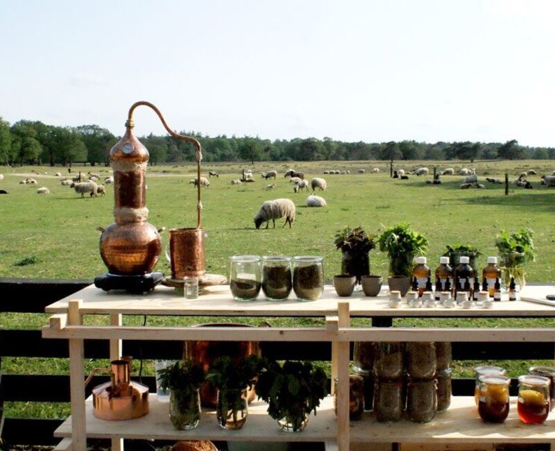 679371792185348255089387690562