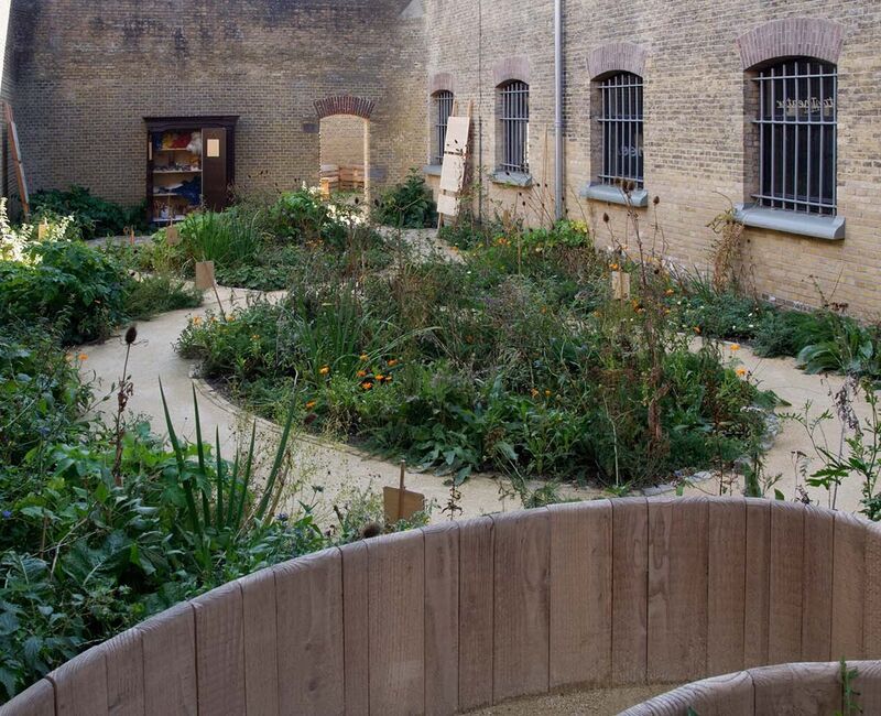 honeysuckleblues-25092018-1500