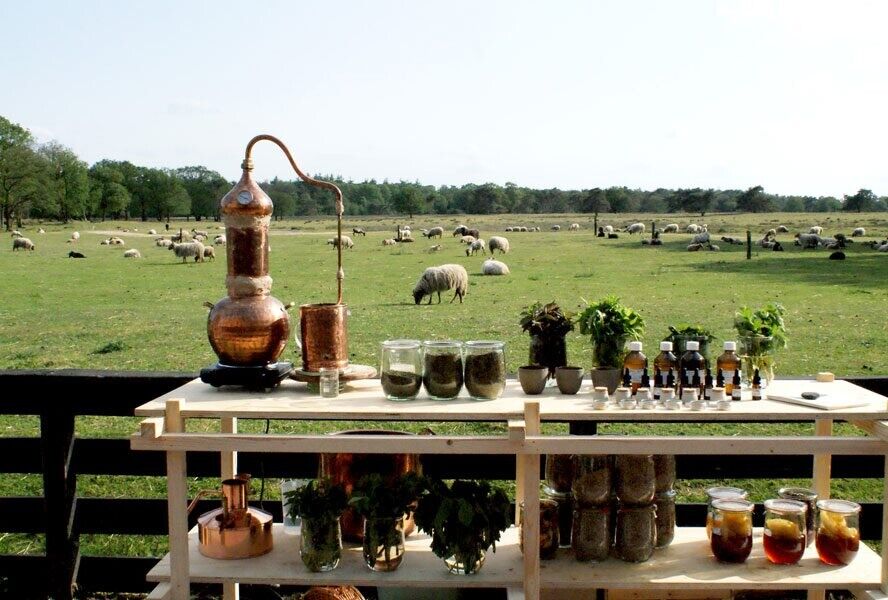 679371792185348255089387690562